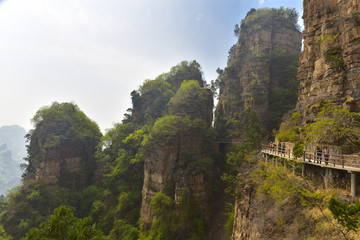 興隆山風(fēng)光