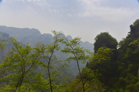 興隆山風(fēng)光