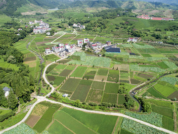 田園風光