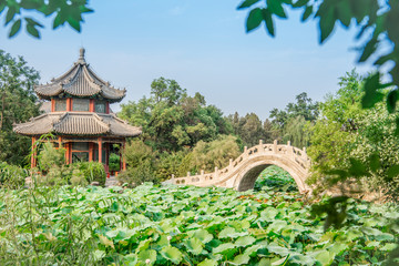 保定景點(diǎn)古蓮花池