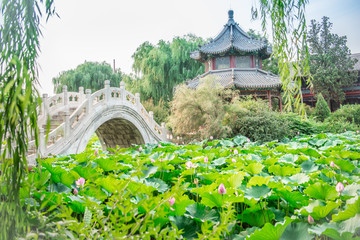 保定景點(diǎn)古蓮花池