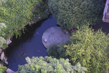 花園小水池