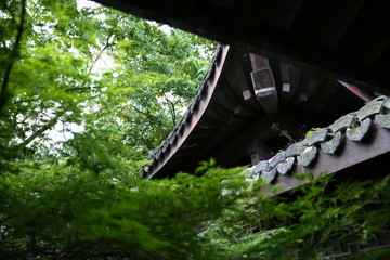 涼亭素材