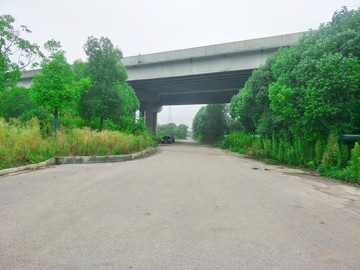 橋