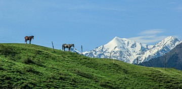 天山雪山