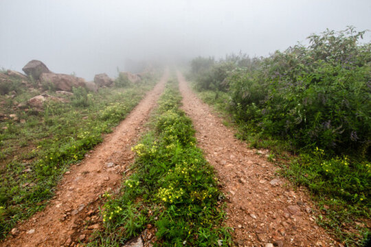 山頂路