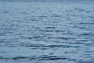 海洋