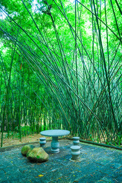 詩(shī)情畫(huà)意的竹林竹園
