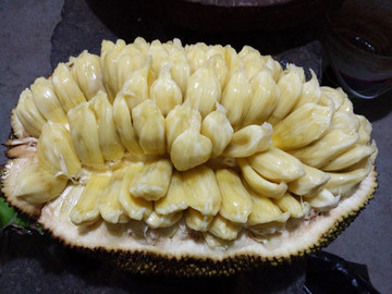 菠蘿蜜