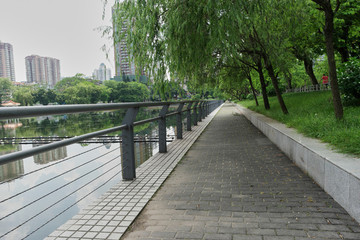 公園湖邊小道