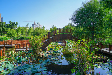 水上棧道