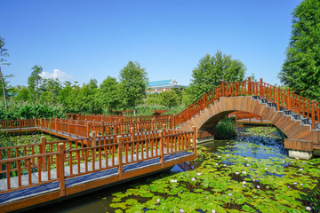 水上棧道