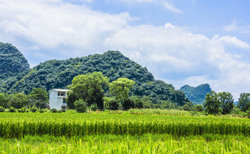 田園風(fēng)光