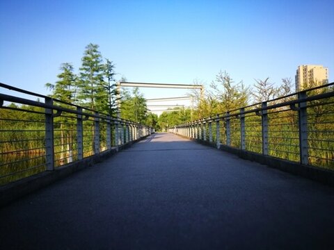 蕪湖中央公園
