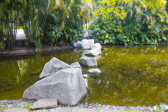 公園小河小溪水中石頭