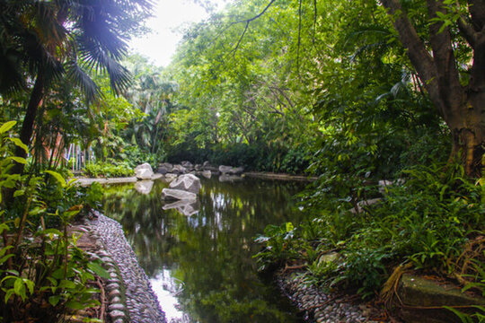 公園小河公園小溪