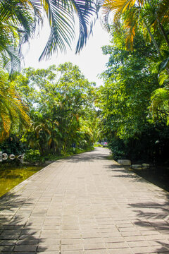 公園小路公園風(fēng)景