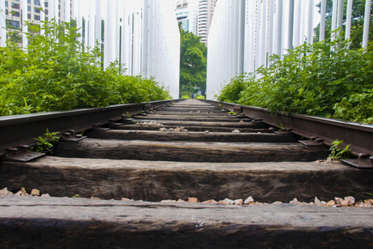 鐵路中山市岐江公園鐵軌