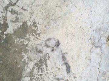 抽象藝術(shù)水泥墻紋理背景墻素材