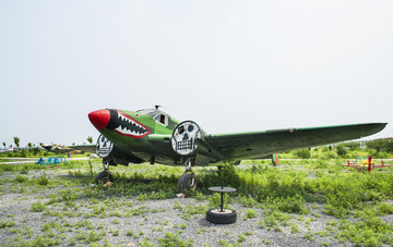 二戰(zhàn)老飛機(jī)