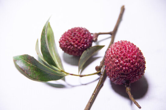 荔枝