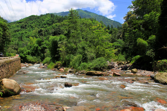 小溪流水