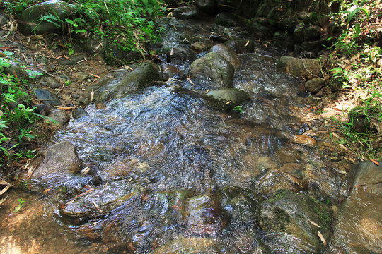 小溪流水