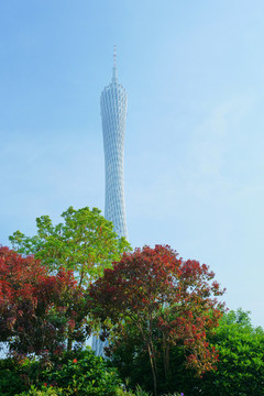 廣州塔