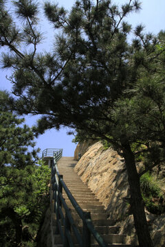 銀座天蒙旅游區(qū)
