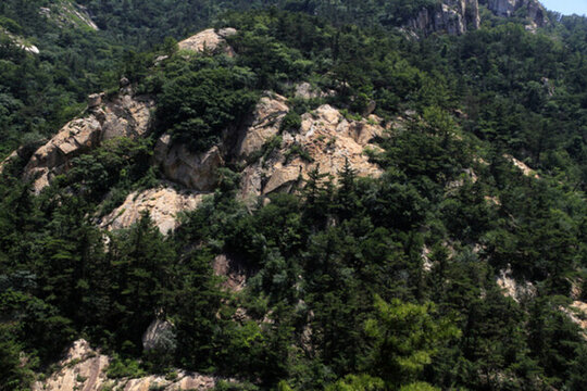 山坡