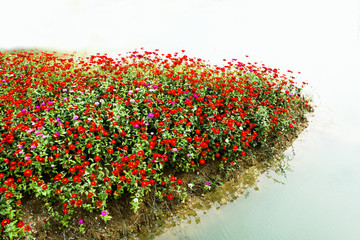 花園