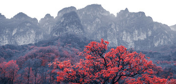 水墨山水畫(huà)