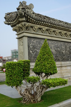 小榕樹