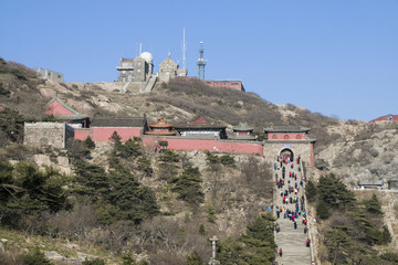 泰山