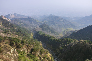 泰山