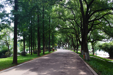 長沙烈士公園