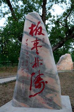 板棗林海