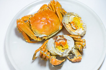 陽(yáng)澄湖大閘蟹