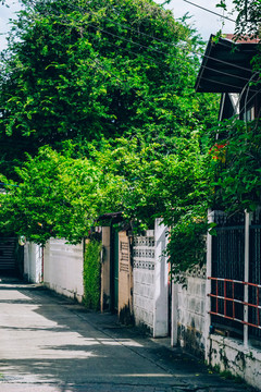 清邁街道
