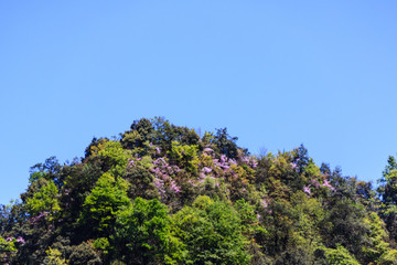 梵凈山