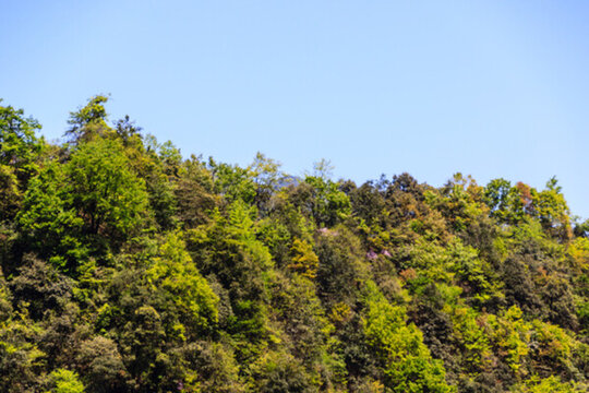 梵凈山