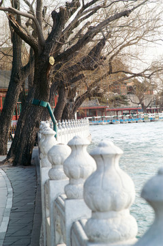 北海公園風(fēng)光