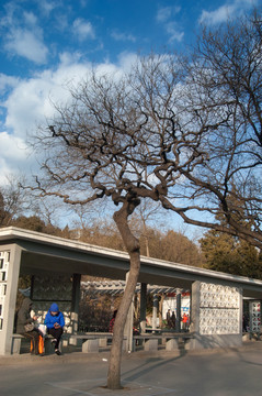 陶然亭公園