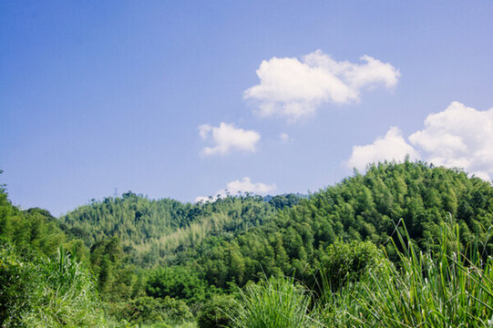 夏日山嶺風(fēng)光