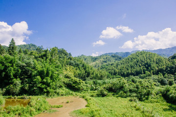 夏日山嶺風(fēng)光