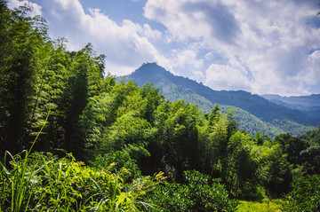 夏日山嶺風(fēng)光