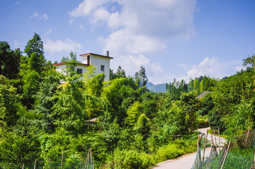 夏日山嶺風(fēng)光