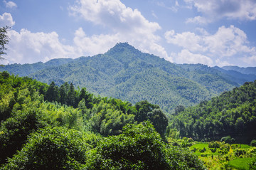 夏日山嶺風(fēng)光