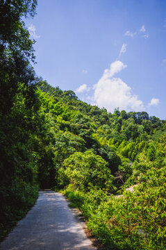 山林小路