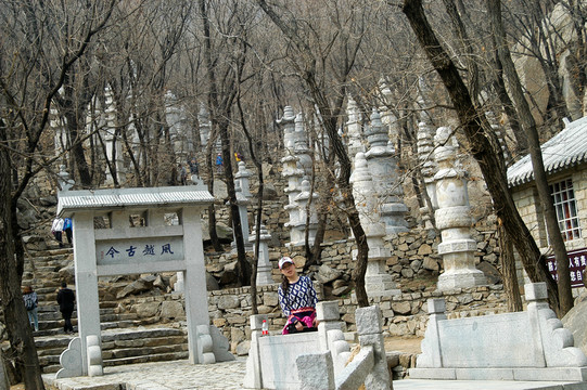 天津盤山